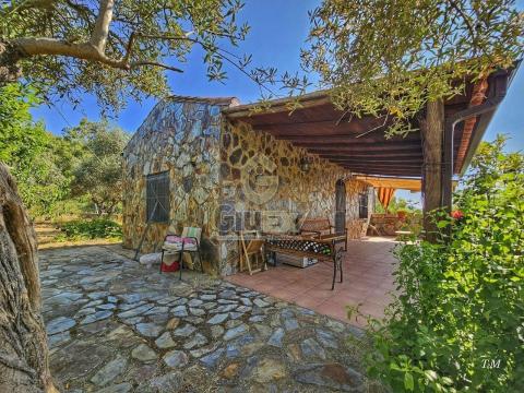 Finca con vivienda en Cañaveral.