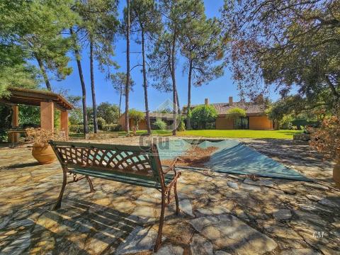 Lujosa vivienda en La Sierrilla